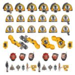 Imperial Fists Primaris Upgrades and Transfers